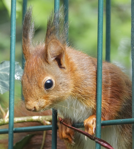 Jong en uitermate nieuwschierig