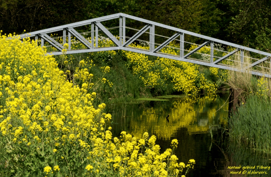 Natuurgebied Tilburg - Weer en landschap - Natuurgebied Tilburg