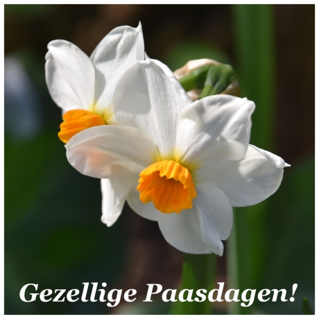 Nogmaals Paaswens