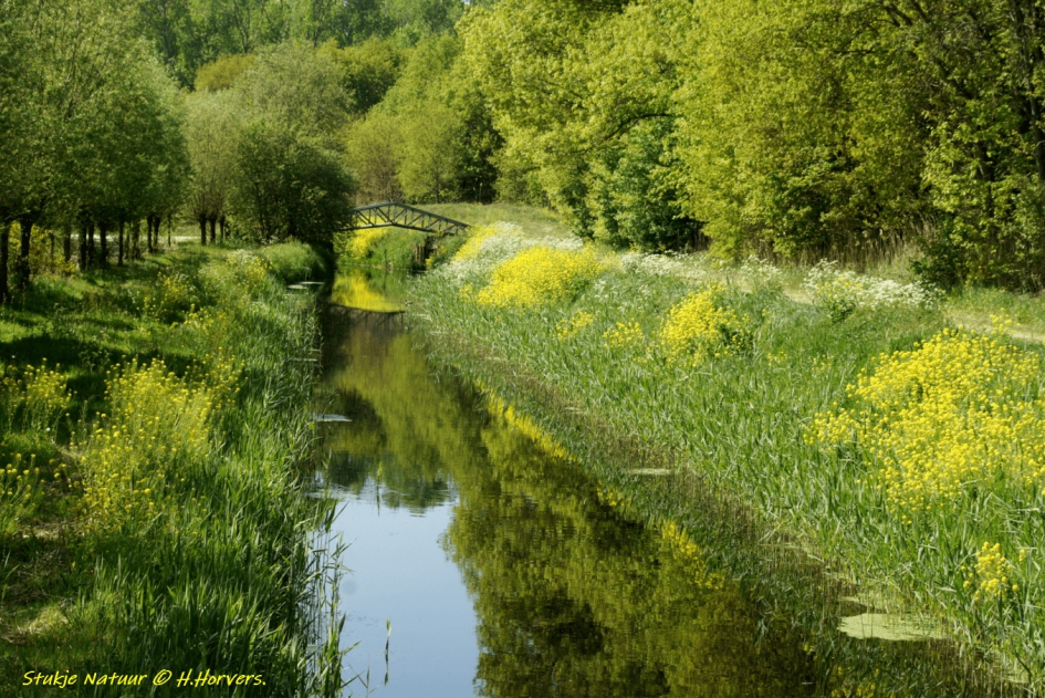 Stukje Natuur - Weer en landschap - Stukje Natuur.