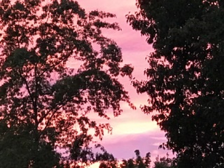 Avondrood in Posterholt