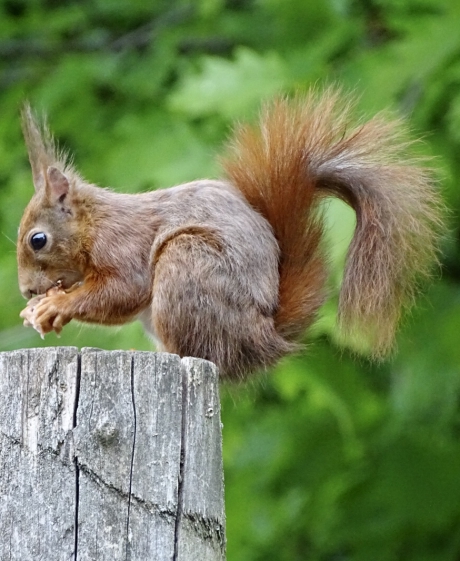 Dag 3: Harrie heeft honger!