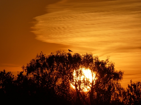 Golden Hour