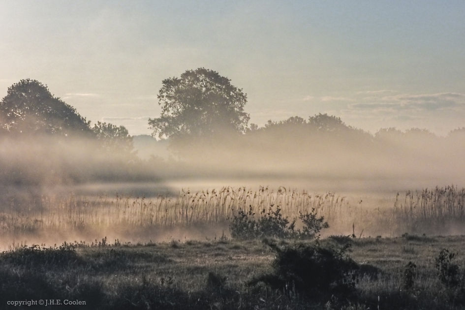 In alle vroegte - Weer en landschap - 