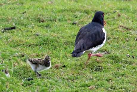 Kom op, wel een beetje doorstappen!