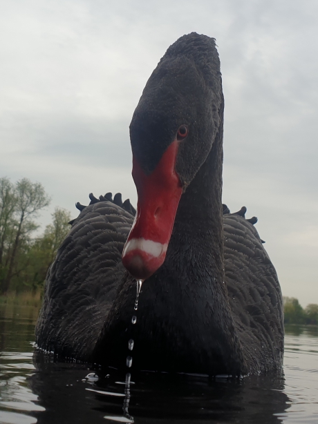 Mijn vriend