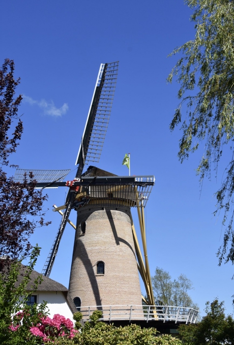 Molen Geesina