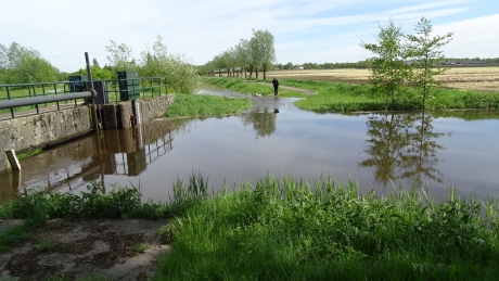 Molenbeek in de lente