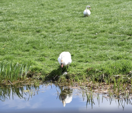 Op naar het water..