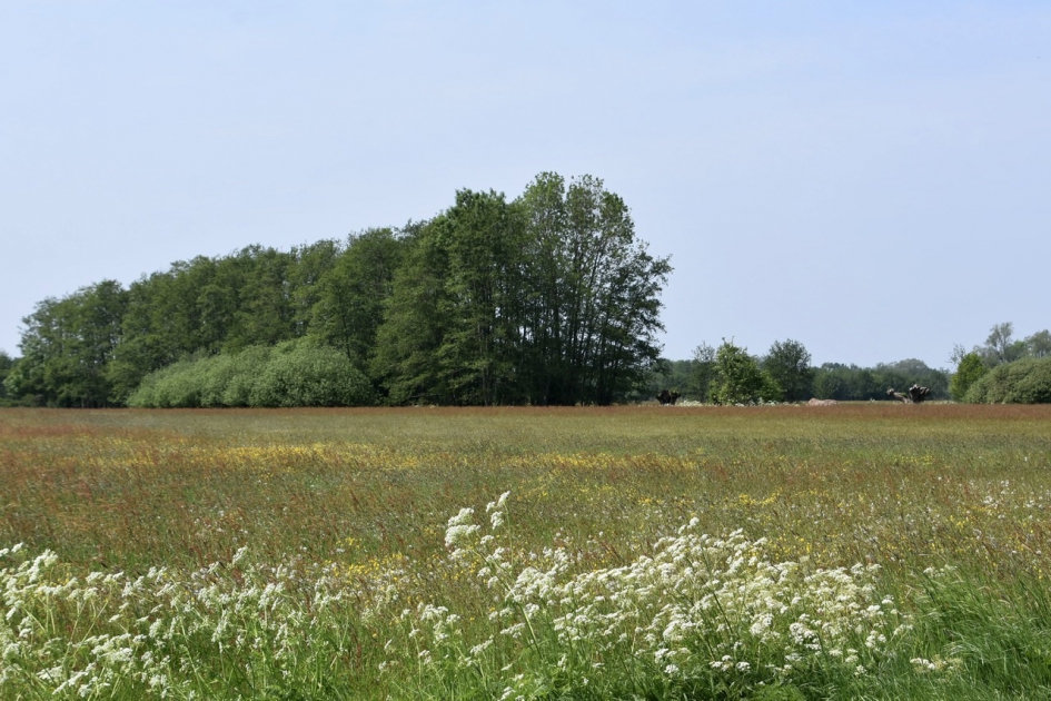 Zwartebroek - Weer en landschap - 