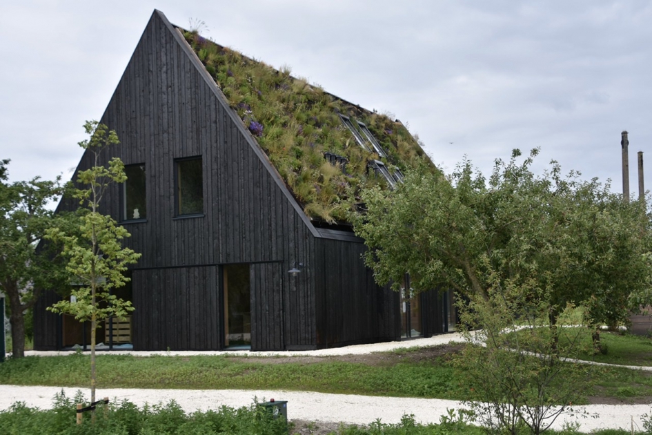 Huis met daktuin - Planten - 