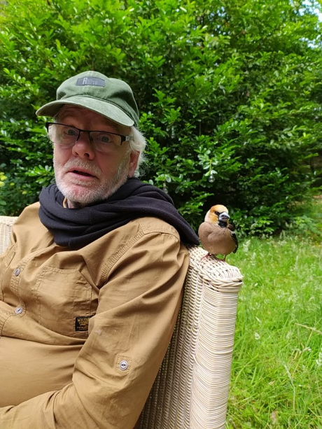 Jonge Appelvink zoekt papa.....