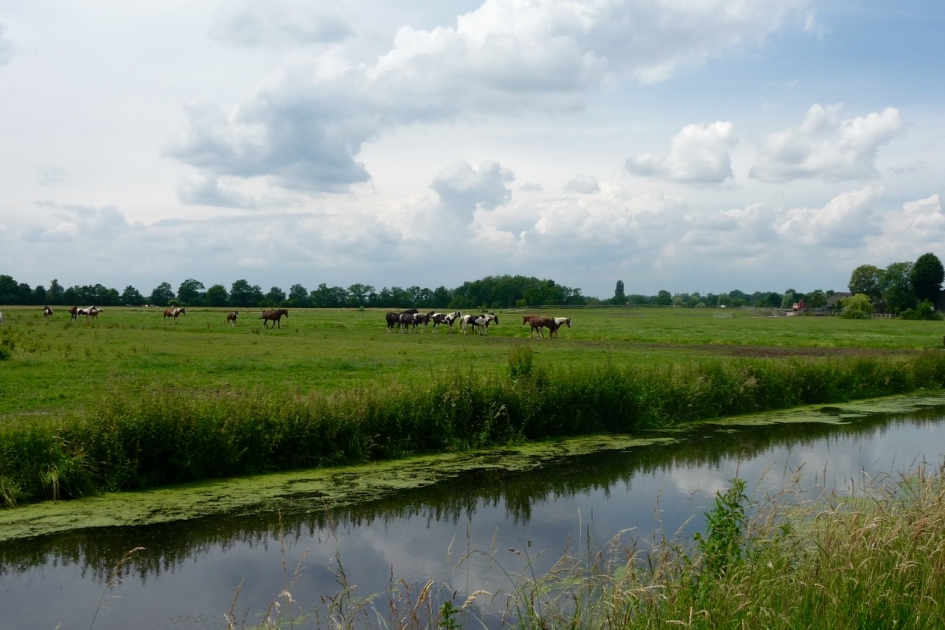 Langs de Langbroekerwetering - Zoogdieren - 