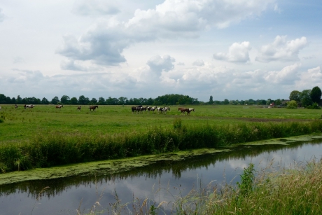 Langs de Langbroekerwetering