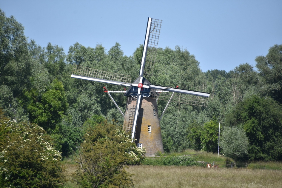 Molen van Maurik - Weer en landschap - 