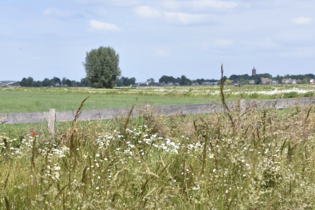 Molenpolder