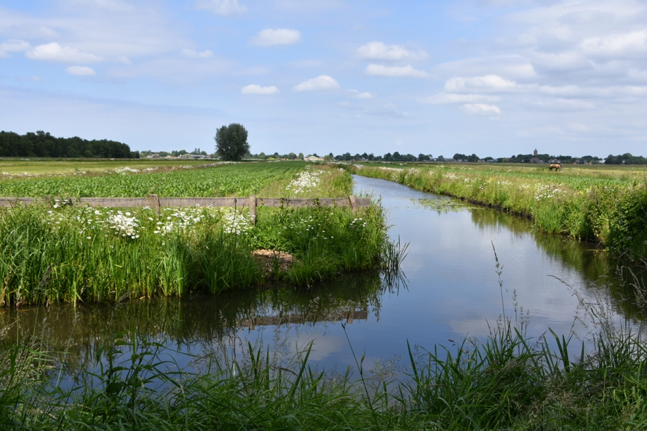 Molenpolder - Weer en landschap - 