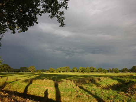 prachtig avondlicht op langste dag