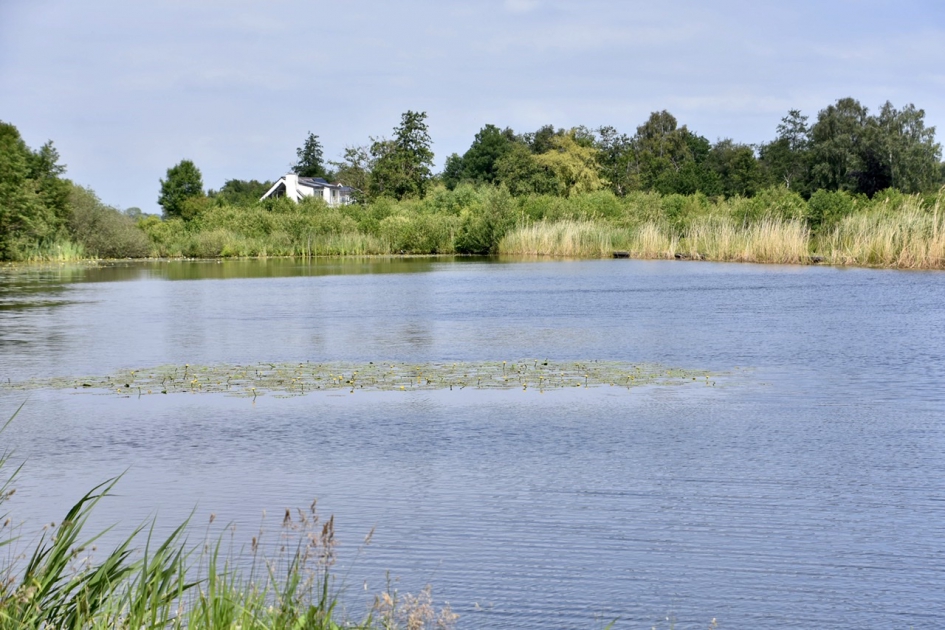Veel waterlelies... - Weer en landschap - 