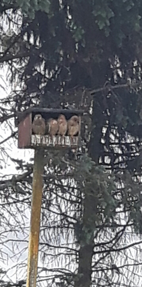 Waar blijft het eten.