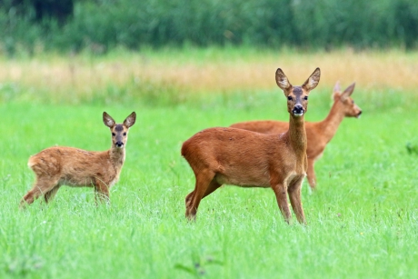 Alweer die fotograaf!
