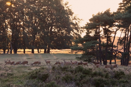 Een mooie zomeravond