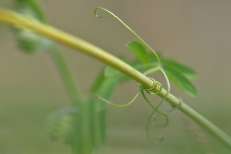 In de knoop zitten (2 van 4)