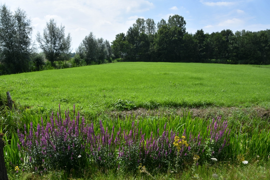 Langs de Langbroekerwetering - Weer en landschap - 