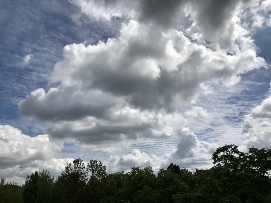 Vanmiddag 12:15 uur - Weer en landschap - 