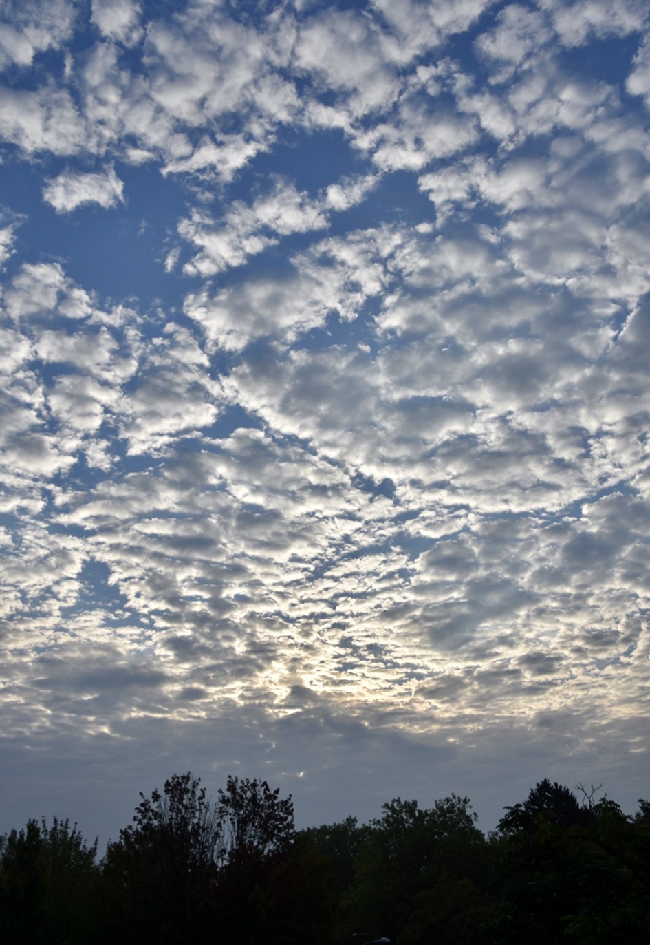 7:30 uur - Weer en landschap - 