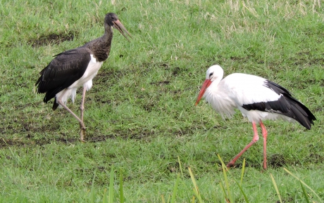 "Denk niet zwart wit"