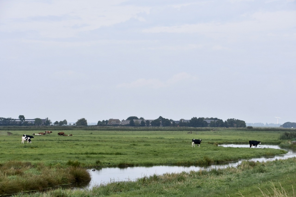 Eemland, Zwarte Noord - Weer en landschap - 