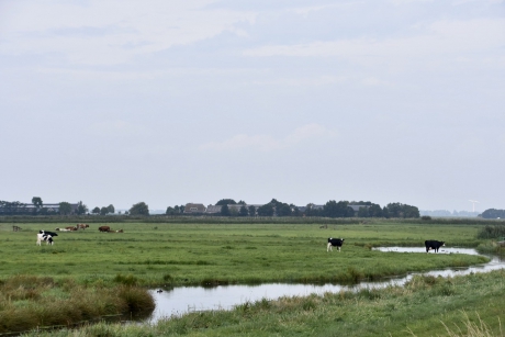 Eemland, Zwarte Noord