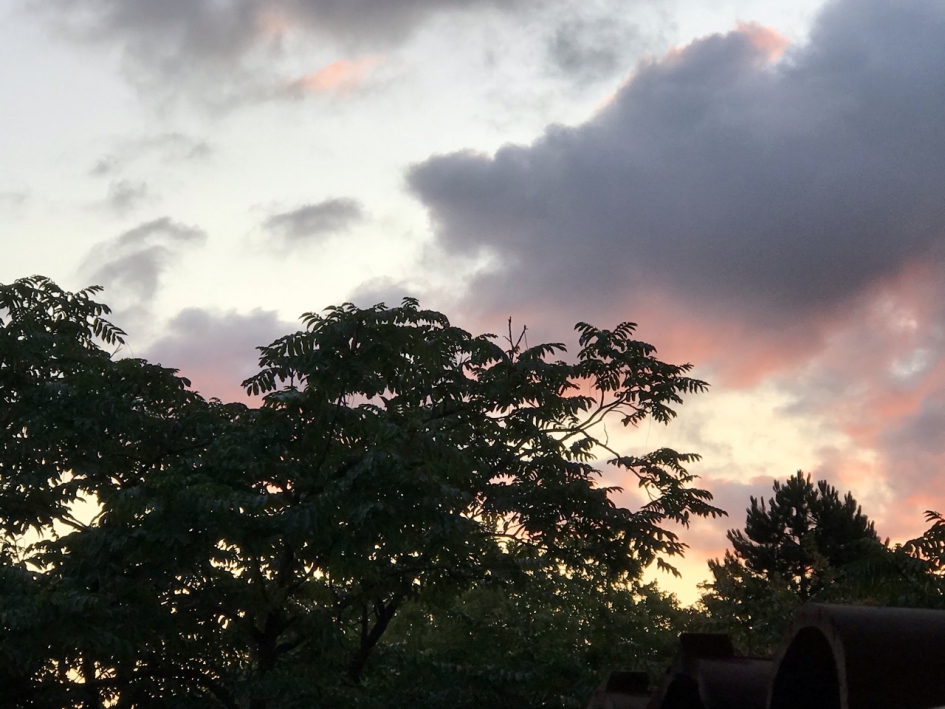 24-9-20 donderdag morgen - Weer en landschap - 