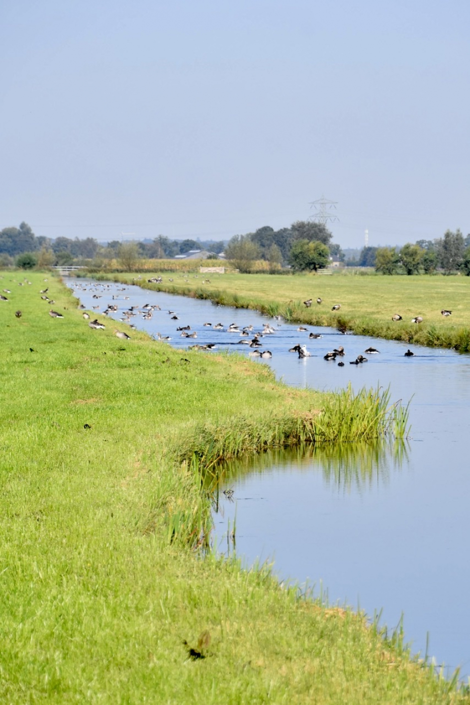 Gelderpolderwetering - Weer en landschap - 