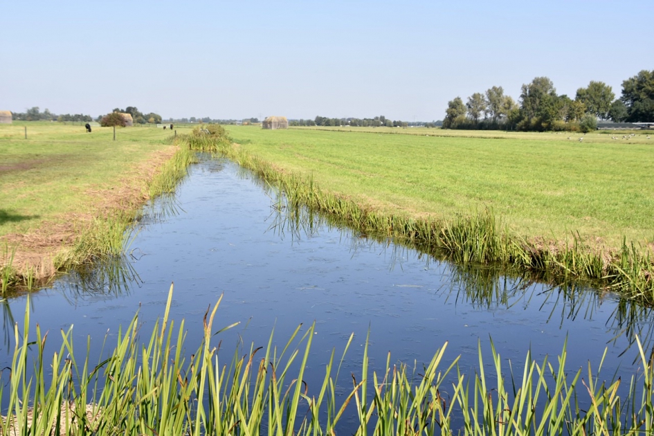 Gelderpolderwetering - Weer en landschap - 