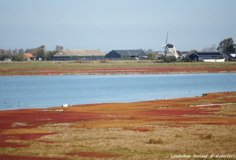 Landschap Zeeland.2