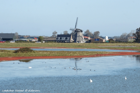 Landschap Zeeland (3)