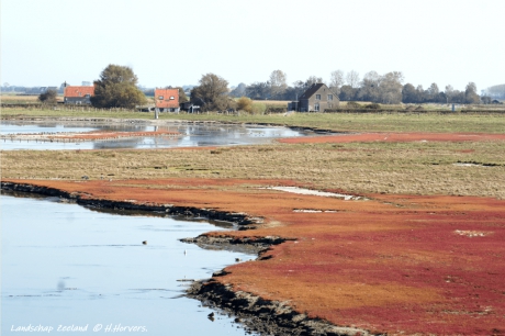 Landschap Zeeland (5)