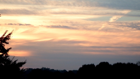 Prachtige zonsopkomst in Druten