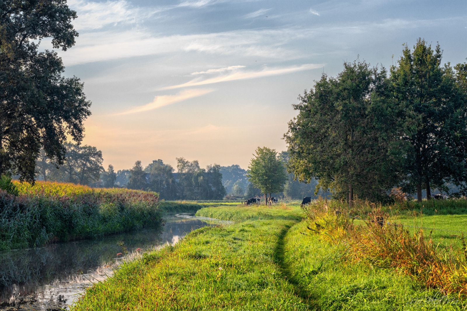 Vroege vogels Foto - Weer en landschap - Voor dag en dauw aan de wandel