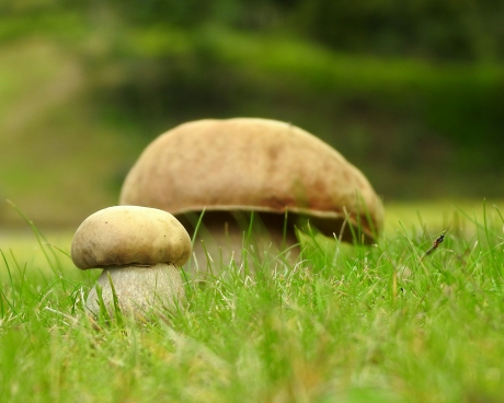 Want jij bent groot en ik is klein