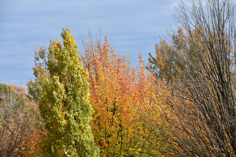 13:30 uur - Weer en landschap - 