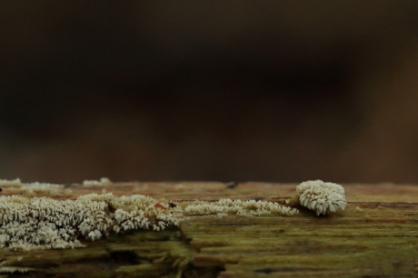 een hangkommetje misschien?