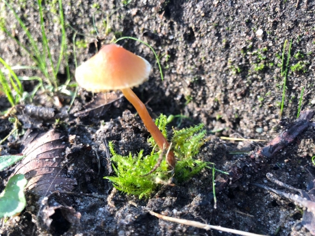 Genieten van het zonnetje