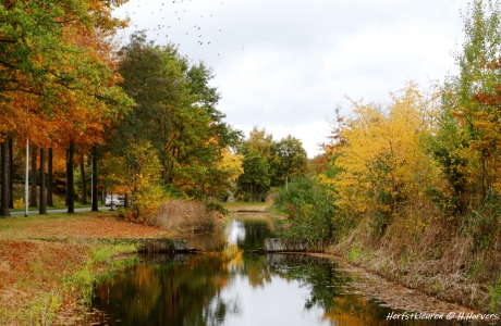 Herfstkleuren