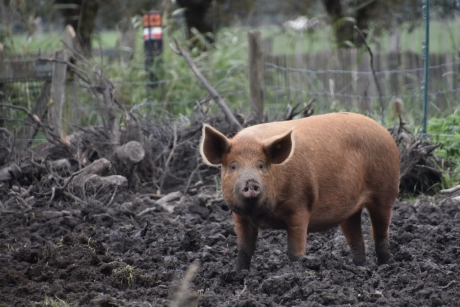 Lekker buiten in de modder