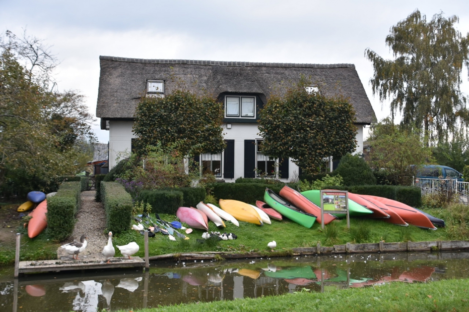 Eenden voor de kano’s - Vogels - 