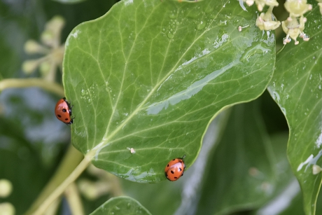 Op zoek naar elkaar...
