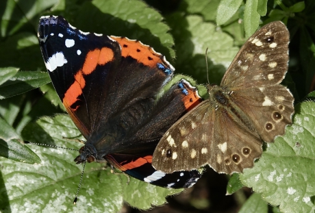 Opwarmend tussen de regenbuien door